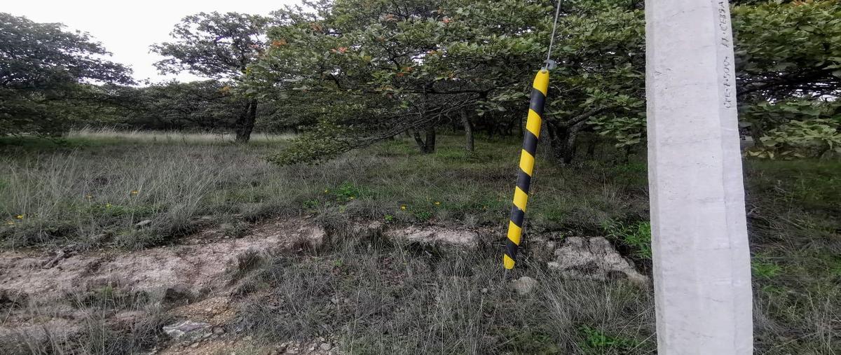 Foto de terreno habitacional en venta en  , san felipe centro, san felipe, guanajuato, 0 No. 05
