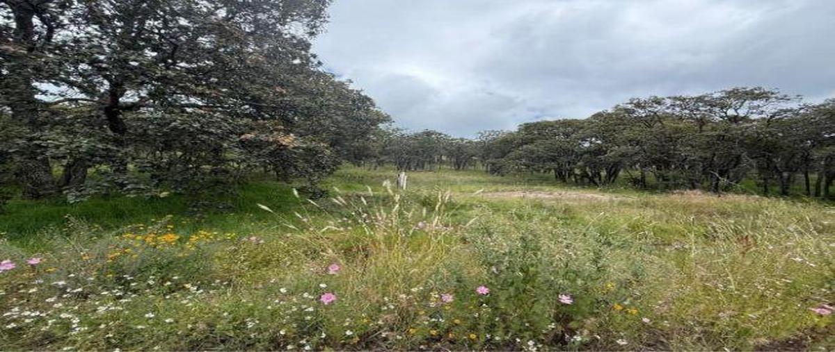 Foto de terreno habitacional en venta en  , san felipe centro, san felipe, guanajuato, 0 No. 03