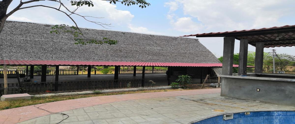 Foto de rancho en , san felipe de la peña, san juan bautista tuxtepec, oaxaca, 31113969 foto 03 Foto de rancho en venta en , san felipe de la peña, san juan bautista tuxtepec, oaxaca, 31113969 No. 03
