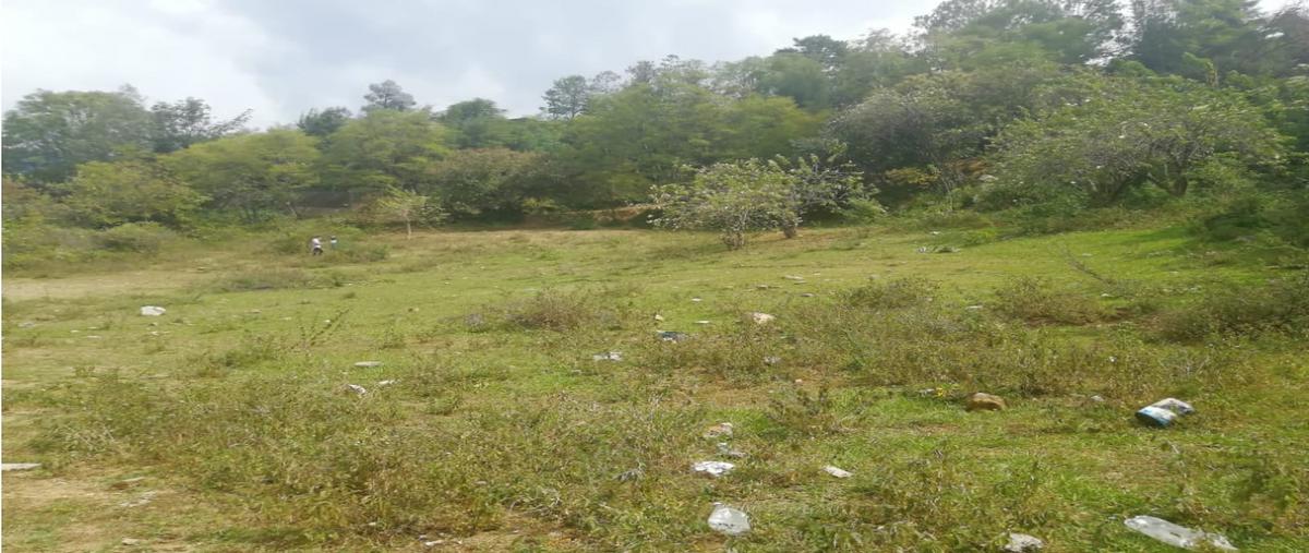 Foto de terreno habitacional en venta en  , san felipe del agua 1, oaxaca de juárez, oaxaca, 18076752 No. 03