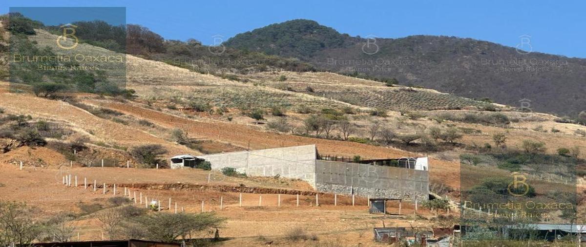Foto de terreno habitacional en venta en  , san felipe del agua 1, oaxaca de juárez, oaxaca, 29520722 No. 05