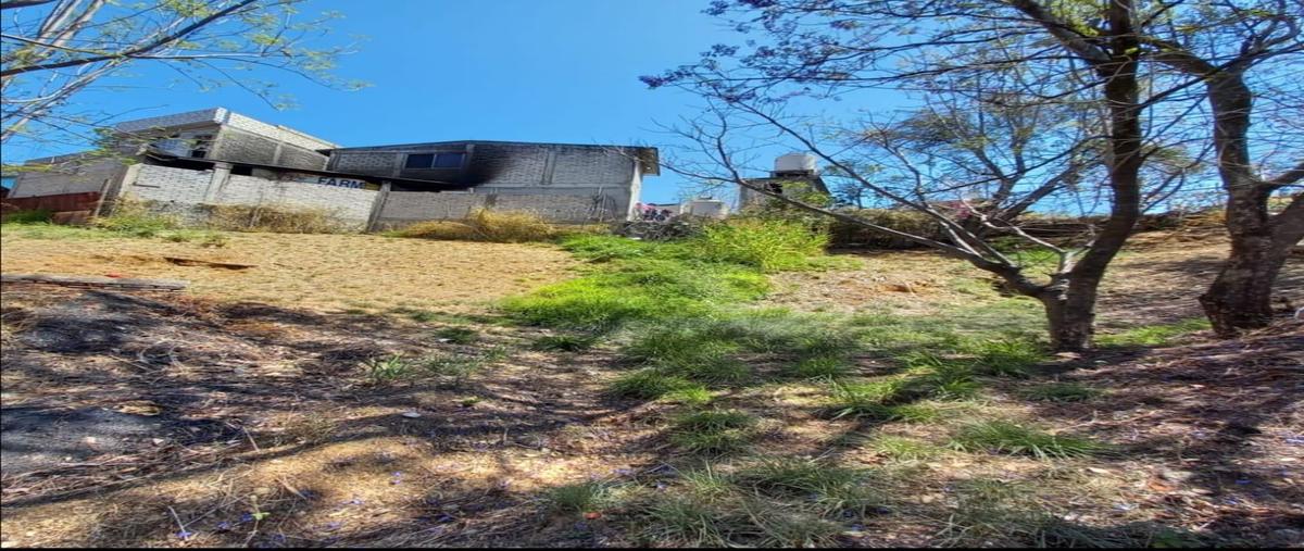 Foto de terreno habitacional en venta en  , san felipe del agua 1, oaxaca de juárez, oaxaca, 0 No. 03