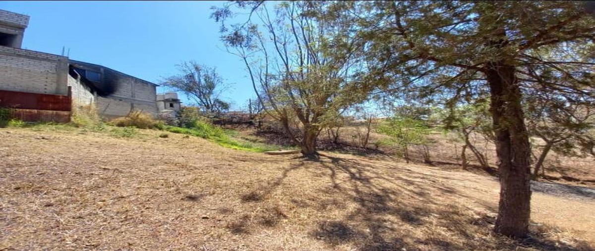 Foto de terreno habitacional en venta en  , san felipe del agua 1, oaxaca de juárez, oaxaca, 0 No. 04