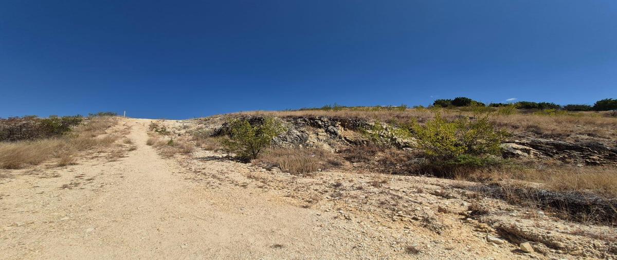 Foto de terreno habitacional en venta en  , san felipe del agua 1, oaxaca de juárez, oaxaca, 0 No. 05
