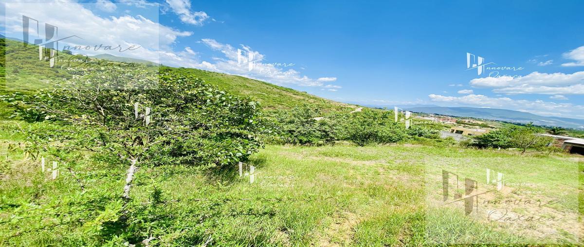 Foto de terreno habitacional en venta en  , san felipe del agua 1, oaxaca de juárez, oaxaca, 0 No. 04