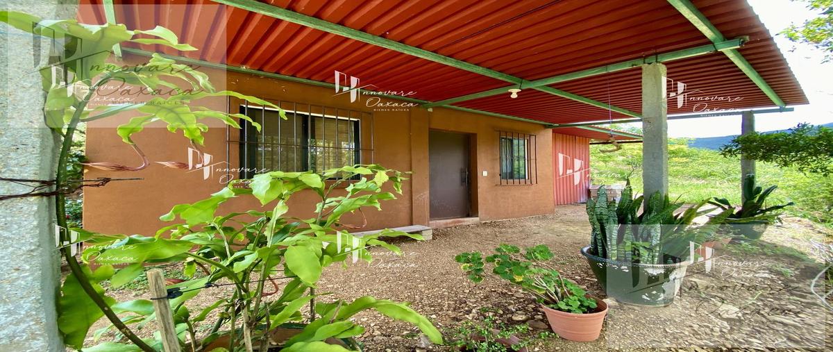 Foto de terreno habitacional en venta en  , san felipe del agua 1, oaxaca de juárez, oaxaca, 0 No. 05