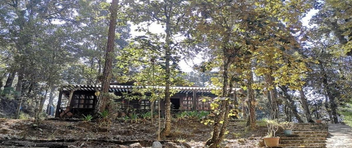 Foto de casa en venta en  , san felipe ecatepec, san cristóbal de las casas, chiapas, 26880696 No. 05