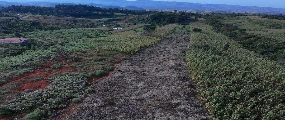 Foto de terreno habitacional en venta en  , san felipe ecatepec, san cristóbal de las casas, chiapas, 0 No. 03
