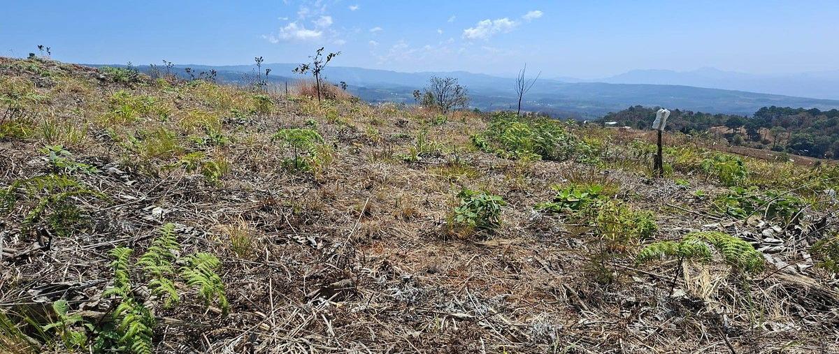 Foto de terreno habitacional en venta en  , san felipe ecatepec, san cristóbal de las casas, chiapas, 0 No. 05