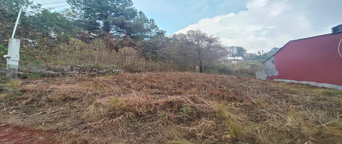 Foto de terreno habitacional en venta en  , san felipe ecatepec, san cristóbal de las casas, chiapas, 0 No. 04