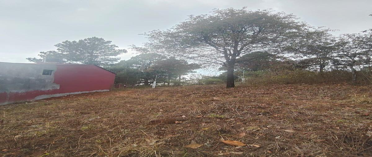 Foto de terreno habitacional en venta en  , san felipe ecatepec, san cristóbal de las casas, chiapas, 0 No. 05