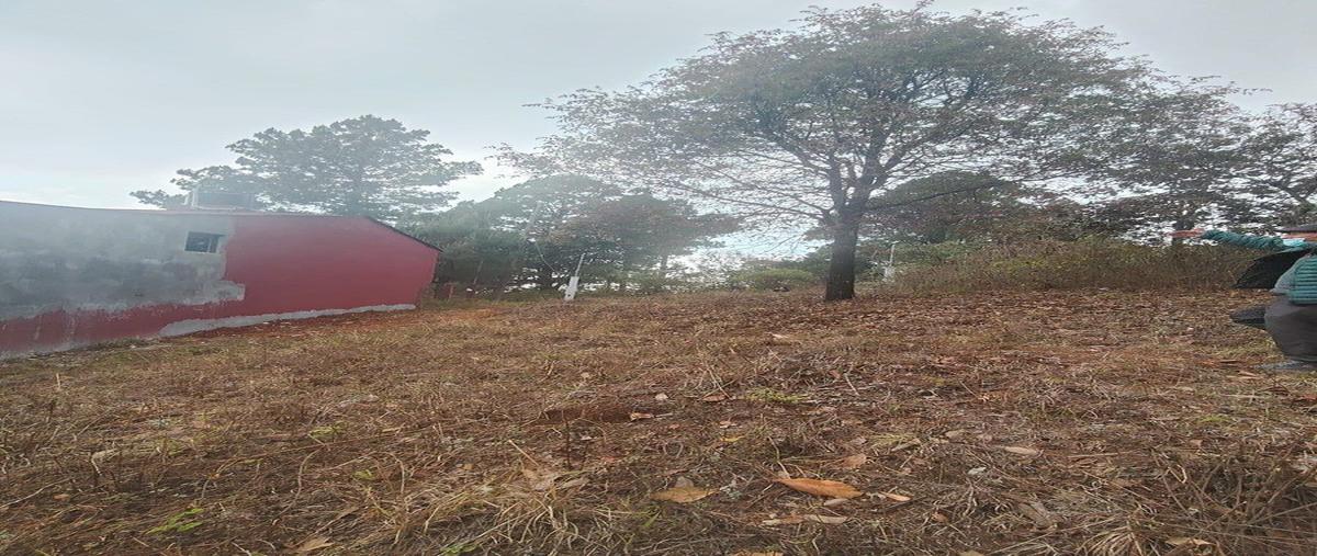 Foto de terreno habitacional en venta en  , san felipe ecatepec, san cristóbal de las casas, chiapas, 0 No. 06