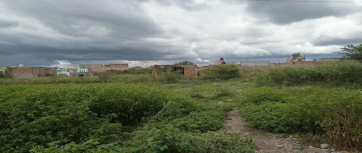 Foto de terreno habitacional en venta en san felipe , lomas de cervera, guanajuato, guanajuato, 27686086 No. 03