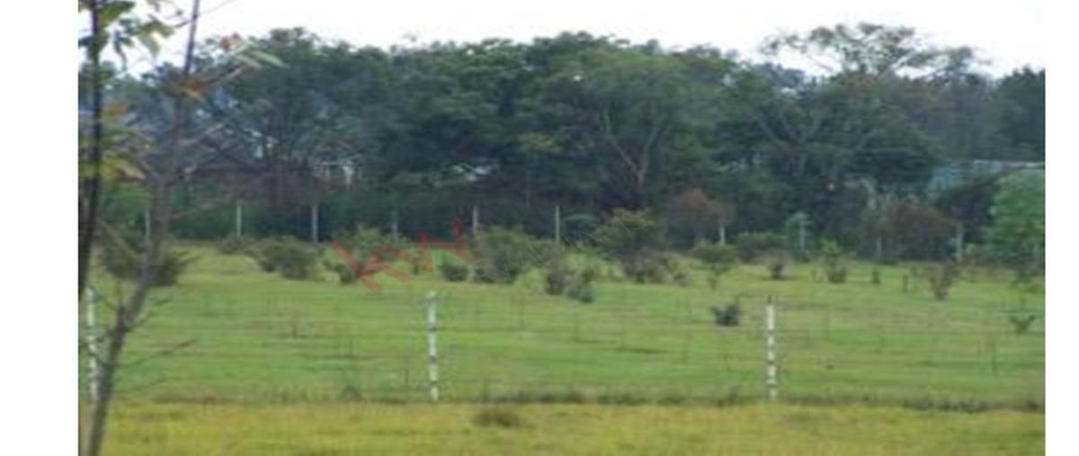 Foto de rancho en venta en  , san felipe, villa guerrero, méxico, 0 No. 03