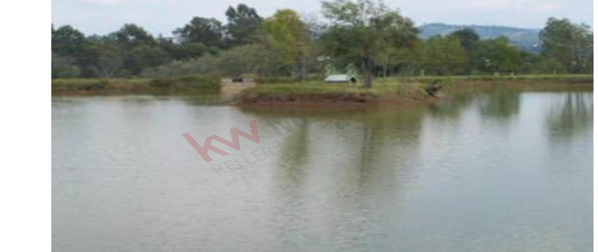 Foto de rancho en venta en  , san felipe, villa guerrero, méxico, 0 No. 04