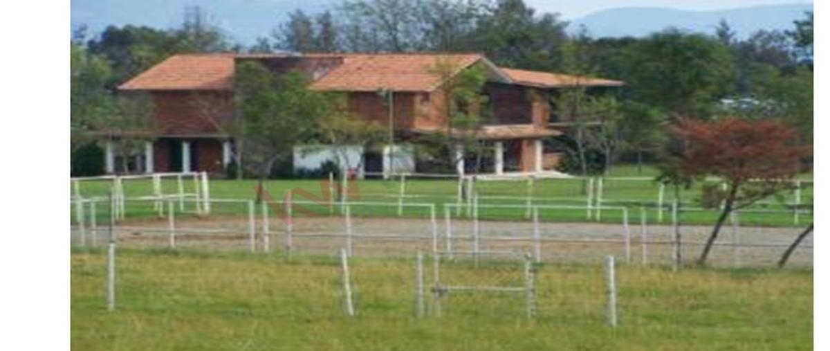 Foto de rancho en venta en  , san felipe, villa guerrero, méxico, 0 No. 05