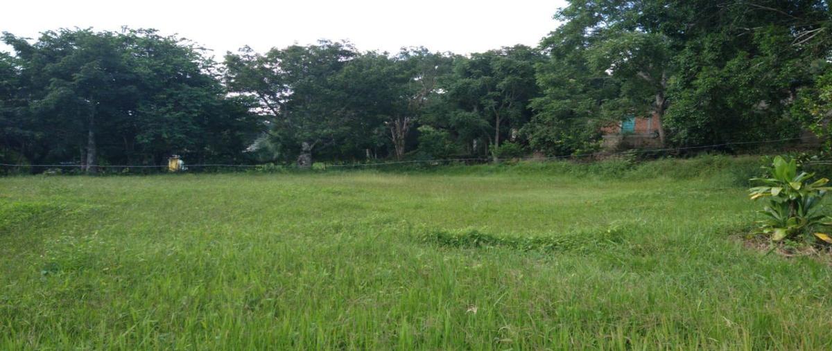 Foto de rancho en venta en  , san fernando centro, san fernando, chiapas, 16438270 No. 03