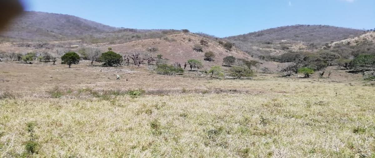 Foto de rancho en venta en  , san fernando centro, san fernando, chiapas, 24451586 No. 03