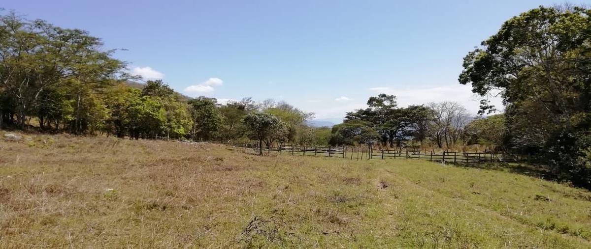 Foto de rancho en venta en  , san fernando centro, san fernando, chiapas, 24451586 No. 04