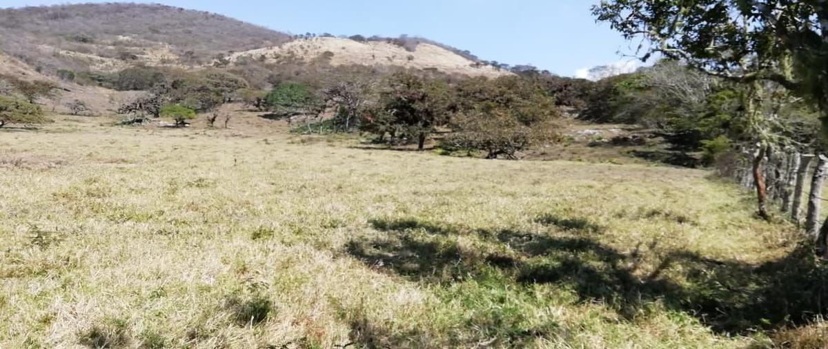 Foto de rancho en venta en  , san fernando centro, san fernando, chiapas, 24451586 No. 05