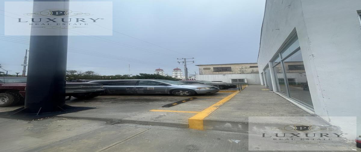Foto de local en renta en  , san fernando, matamoros, tamaulipas, 30989526 No. 05