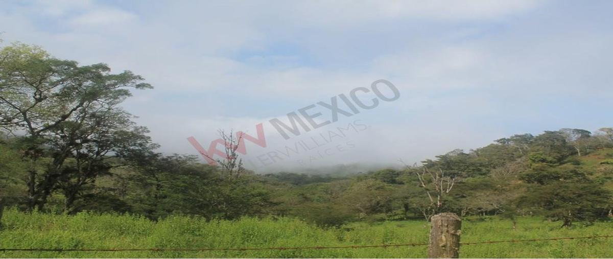 Foto de terreno habitacional en venta en  , san fernando, san fernando, chiapas, 0 No. 03