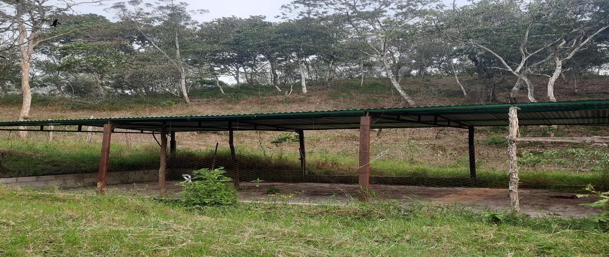 Foto de rancho en san fernando , san fernando, tuxtla gutiérrez, chiapas, 0 foto 05 Foto de rancho en venta en san fernando , san fernando, tuxtla gutiérrez, chiapas, 0 No. 05