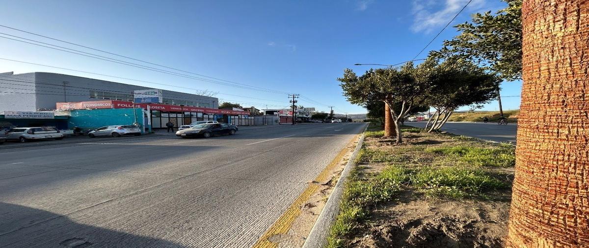 Foto de terreno comercial en , san fernando, tecate, baja california, 26359672 foto 02 Foto de terreno comercial en venta en , san fernando, tecate, baja california, 26359672 No. 02