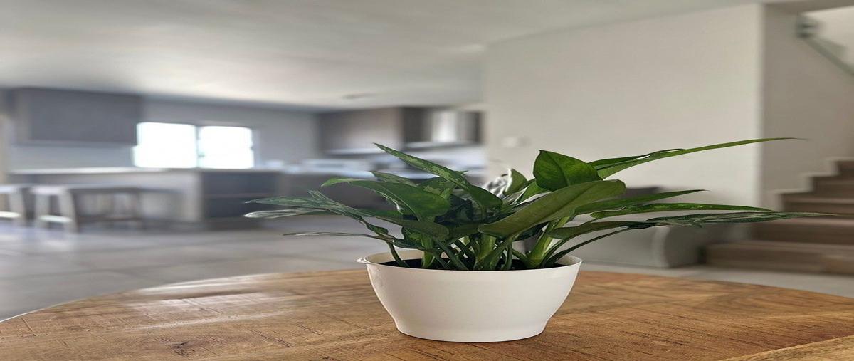 Foto de casa en renta en san fernando , valparaíso residencial, tijuana, baja california, 31007101 No. 05