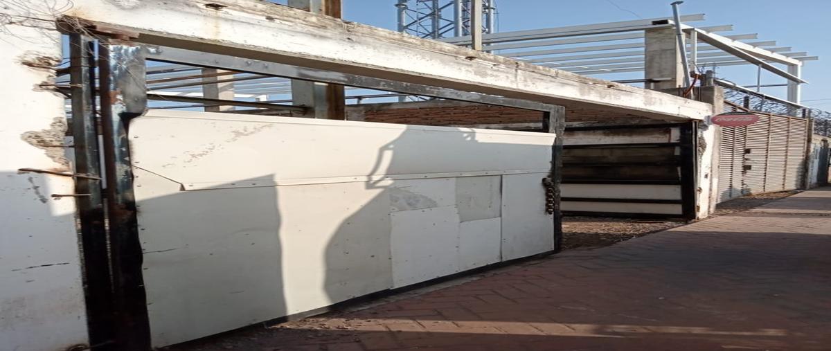 Foto de terreno habitacional en renta en  , san florencio, culiacán, sinaloa, 28213745 No. 05
