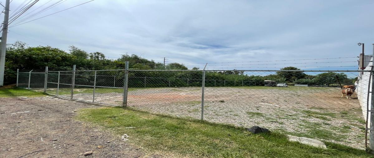 Foto de rancho en renta en  , san francisco acatepec, san andrés cholula, puebla, 0 No. 04