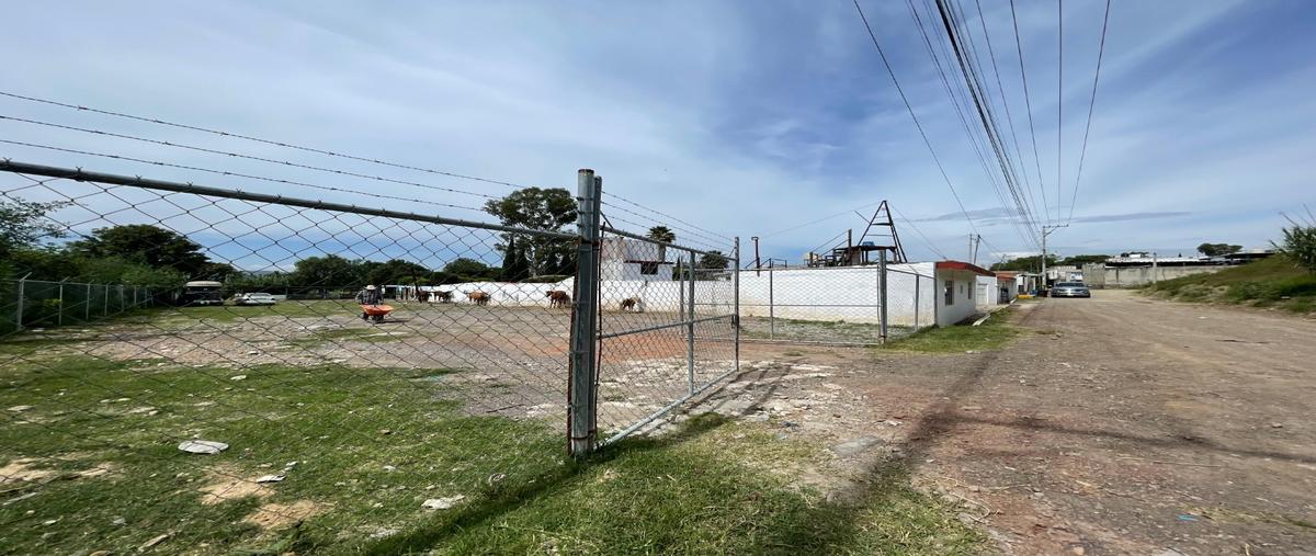 Foto de rancho en renta en  , san francisco acatepec, san andrés cholula, puebla, 0 No. 05