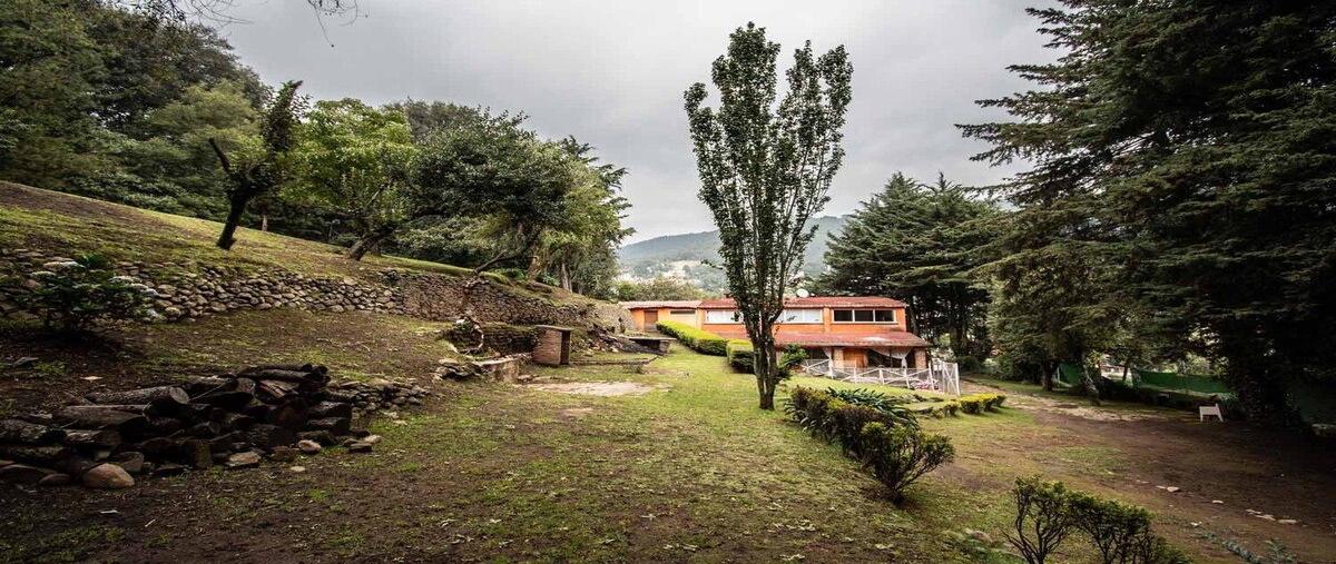 Foto de terreno habitacional en renta en  , san francisco ayotuxco, huixquilucan, méxico, 31501656 No. 03