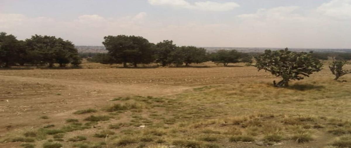 Foto de terreno habitacional en , san francisco cuexcontzi, cuapiaxtla, tlaxcala, 0 foto 04 Foto de terreno habitacional en venta en , san francisco cuexcontzi, cuapiaxtla, tlaxcala, 0 No. 04