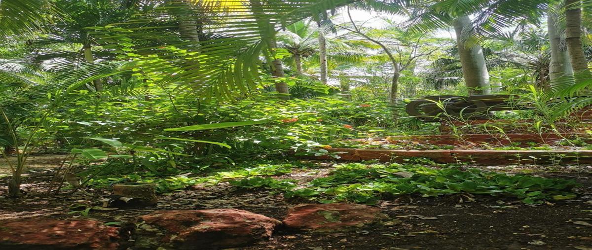 Foto de rancho en , san francisco de campeche centro., campeche, campeche, 27645029 foto 02 Foto de rancho en venta en , san francisco de campeche centro., campeche, campeche, 27645029 No. 02