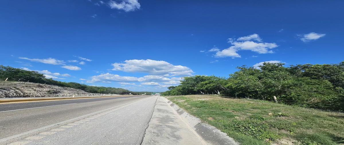 Foto de terreno habitacional en , san francisco de campeche centro., campeche, campeche, 29923360 foto 05 Foto de terreno habitacional en venta en , san francisco de campeche centro., campeche, campeche, 29923360 No. 05