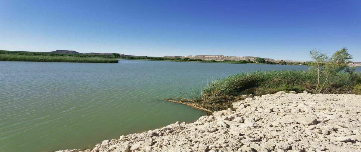 Foto de terreno habitacional en venta en  , san francisco de conchos, san francisco de conchos, chihuahua, 20518154 No. 03