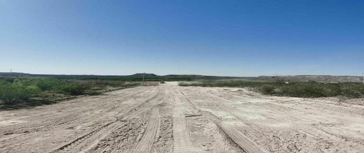 Foto de terreno habitacional en venta en  , san francisco de conchos, san francisco de conchos, chihuahua, 20518154 No. 04