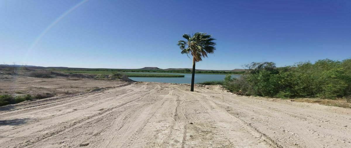 Foto de terreno habitacional en venta en  , san francisco de conchos, san francisco de conchos, chihuahua, 20518154 No. 05