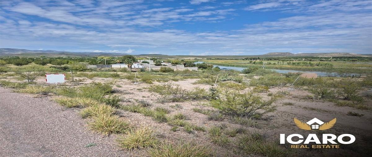Foto de terreno habitacional en venta en  , san francisco de conchos, san francisco de conchos, chihuahua, 30410305 No. 03