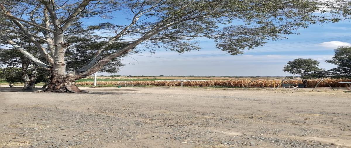 Foto de terreno habitacional en venta en  , san francisco del rincón centro, san francisco del rincón, guanajuato, 0 No. 03