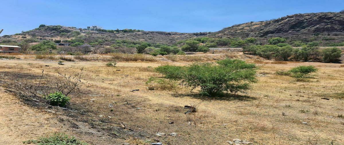 Foto de terreno habitacional en venta en san francisco, el marqués, querétaro, 76240 , la presa (san antonio), el marqués, querétaro, 21583300 No. 03