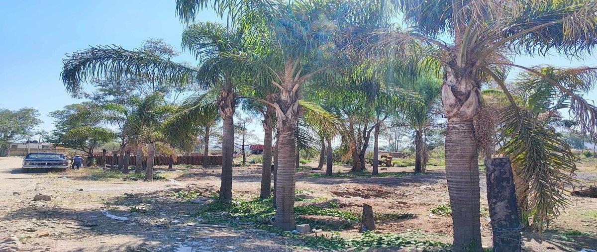 Foto de terreno habitacional en venta en san francisco , hacienda del real, tonalá, jalisco, 0 No. 04