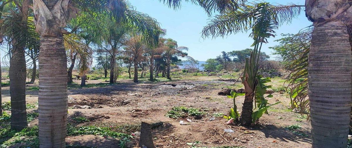 Foto de terreno habitacional en venta en san francisco , hacienda del real, tonalá, jalisco, 0 No. 05