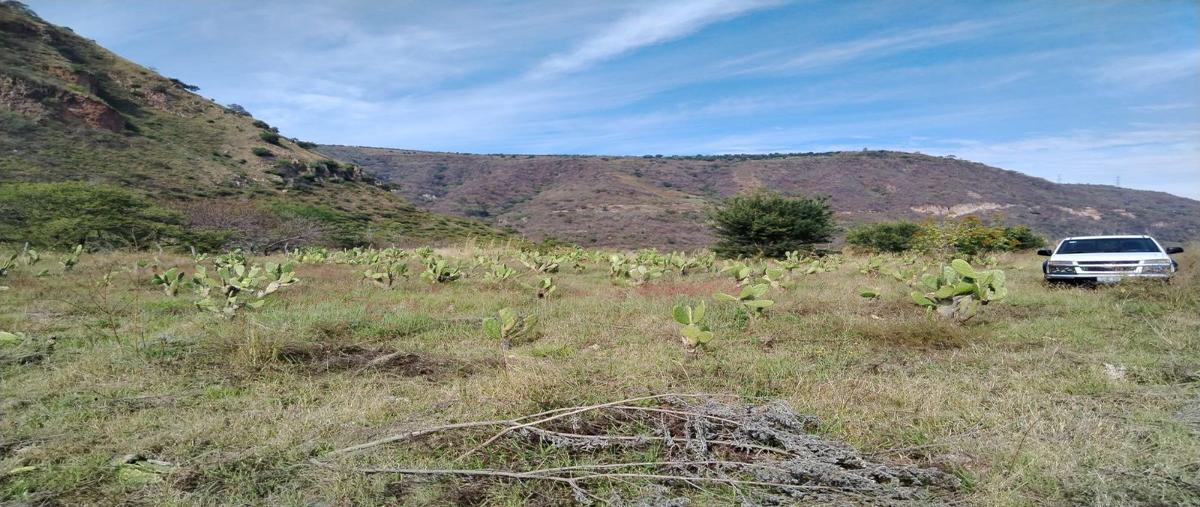 Foto de terreno habitacional en venta en  , san francisco ixcatan, zapopan, jalisco, 27695253 No. 03