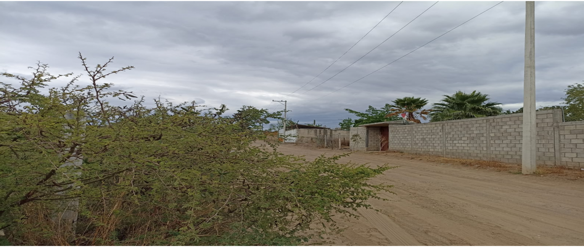 Foto de terreno habitacional en venta en  , san francisco lachigolo, san francisco lachigoló, oaxaca, 24806308 No. 04