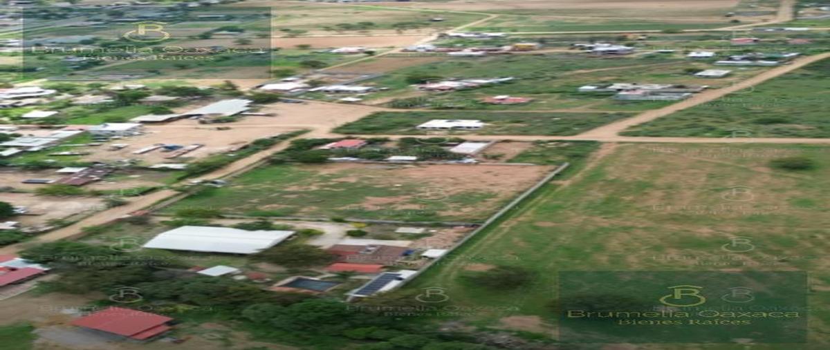 Foto de terreno habitacional en venta en  , san francisco lachigolo, san francisco lachigoló, oaxaca, 28631354 No. 03