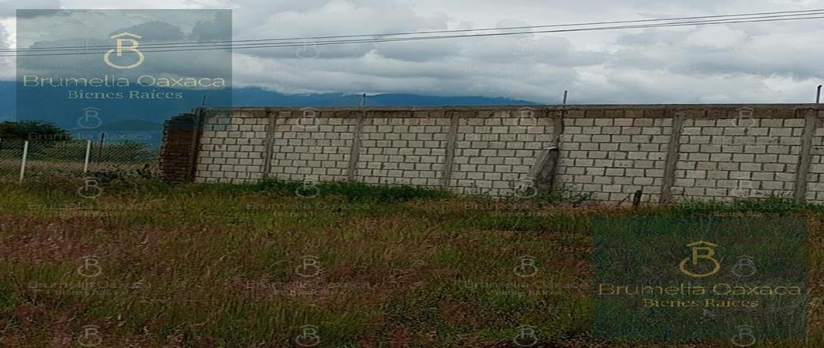 Foto de terreno habitacional en venta en  , san francisco lachigolo, san francisco lachigoló, oaxaca, 28631354 No. 04