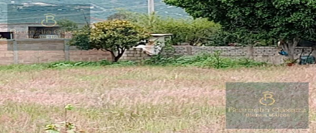 Foto de terreno habitacional en venta en  , san francisco lachigolo, san francisco lachigoló, oaxaca, 28631354 No. 05