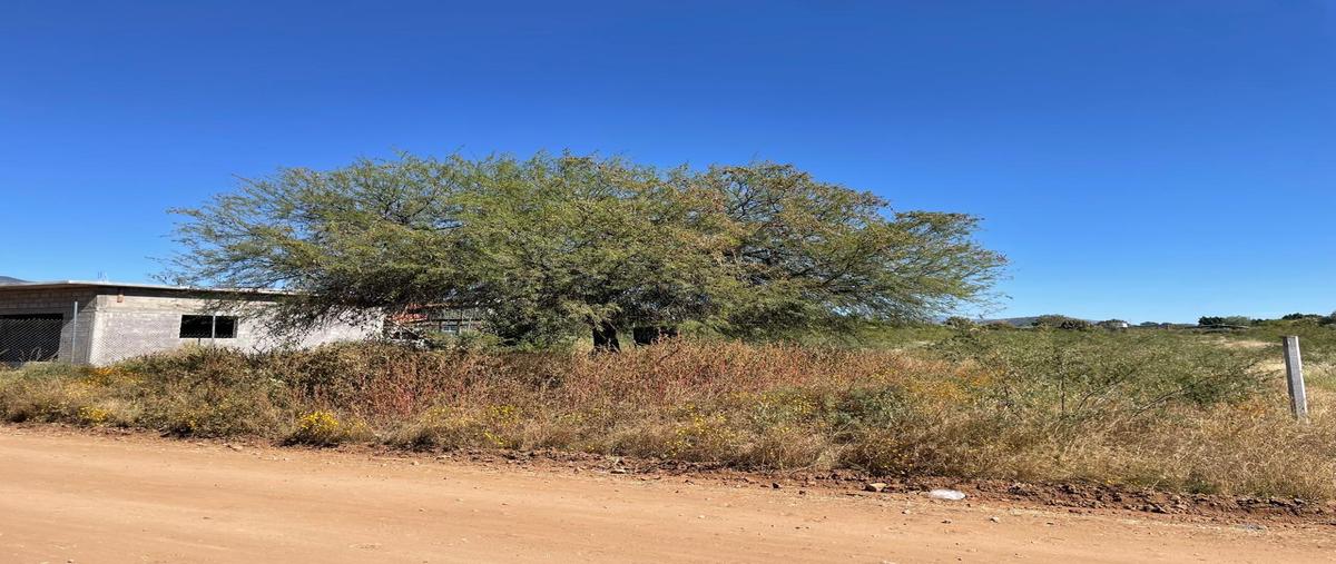Foto de terreno habitacional en venta en  , san francisco lachigolo, san francisco lachigoló, oaxaca, 0 No. 03